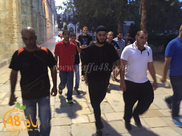 yaffa rebatt3 (4).jpg